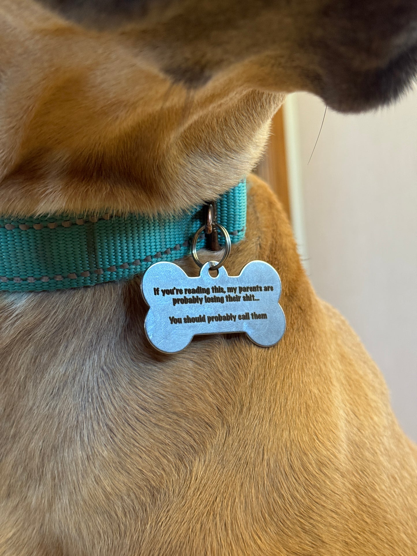 PERSONALIZED Stainless Steel Dog/Pet Tags