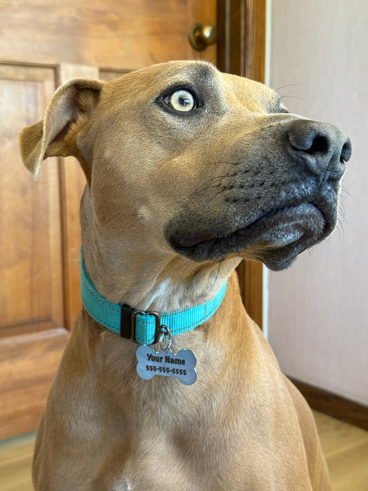 PERSONALIZED Stainless Steel Dog/Pet Tags